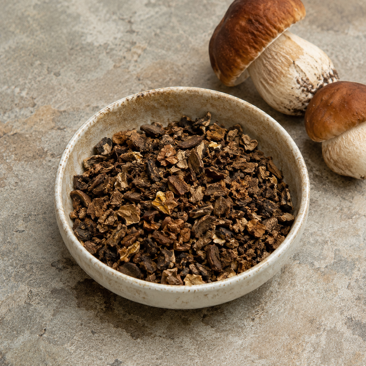 Ciotola in terracotta su piano di pietra contenente briciole di funghi porcini essiccati marroni.